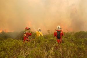 Incendios forestales en Perú
