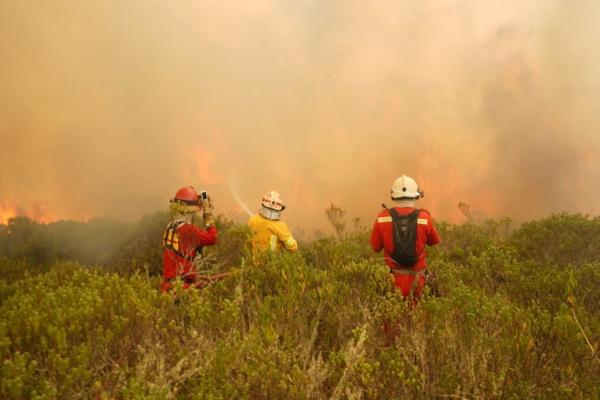 Incendios forestales en Perú