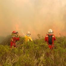 Incendios forestales en Perú