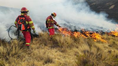 Incendios forestales en Perú - Salud mental