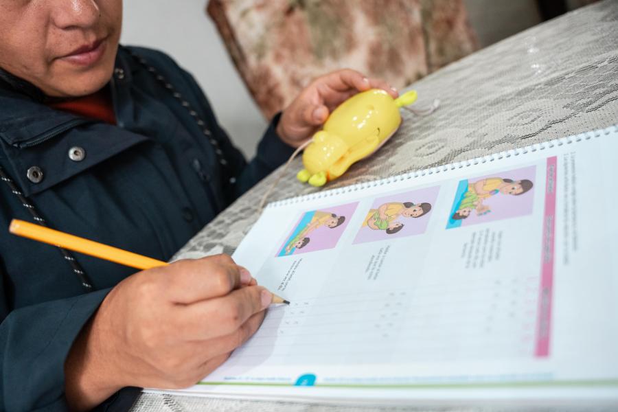 Cómo Socios En Salud validó en el Perú un manual de salud mental de la ...