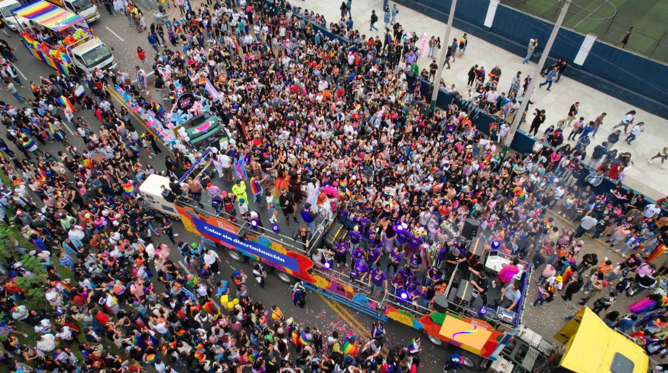 Marcha del orgullo SES